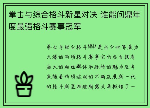 拳击与综合格斗新星对决 谁能问鼎年度最强格斗赛事冠军